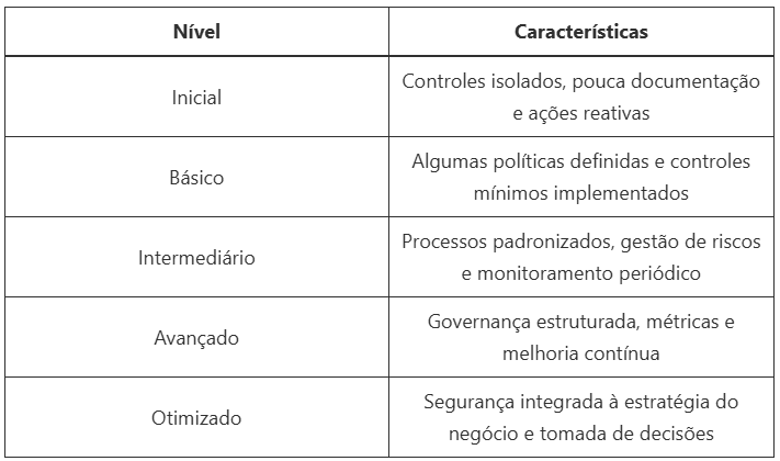 checklist-de-maturidade-em-seguranca